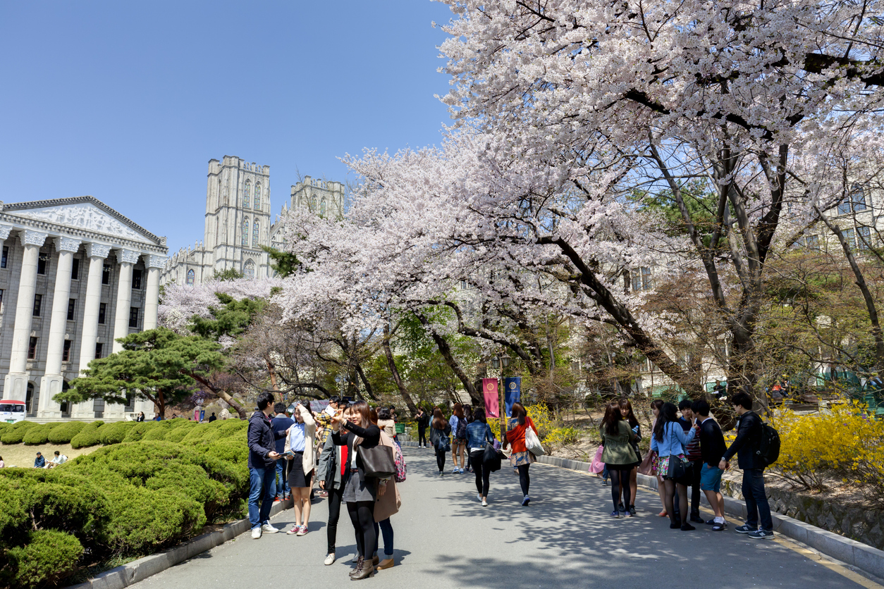 South Korea E-7 work visa points system explained for foreign professionals